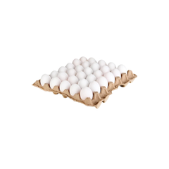 Irani Chicken Eggs – Fresh White Eggs (30 Pieces Tray)