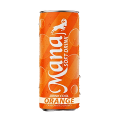 Mountain Orange – Fizzy Soft Drink (250 ml Can)