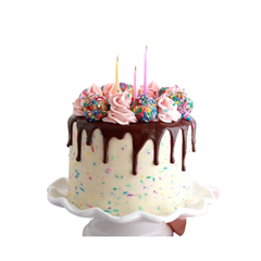 Afghani Cake 1kg – Soft & Delicious Birthday Cake