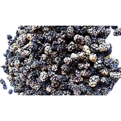 Black Dried Mulberries 1kg