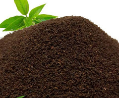 Premium Black Tea-1Kg