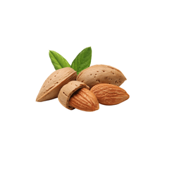 Watani Almond 1kg