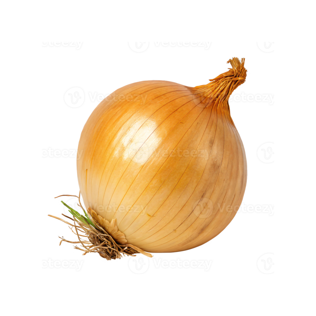 Yellow Onion 1kg